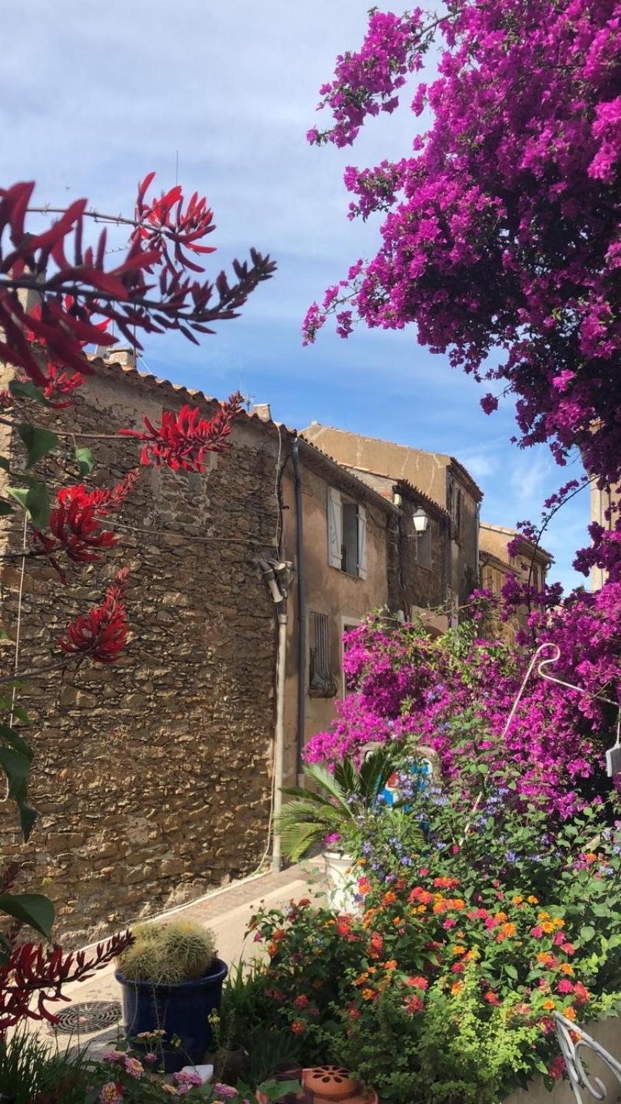Maison De Vacances Medievale Bormes-Les-Mimosas Village Exterior foto